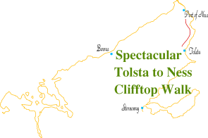 Tolsta.gif (7452 bytes)