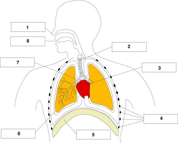 lep7h08.gif (32789 bytes)